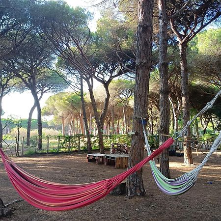 The Pineforest Cabin Chiclana de la Frontera Bagian luar foto