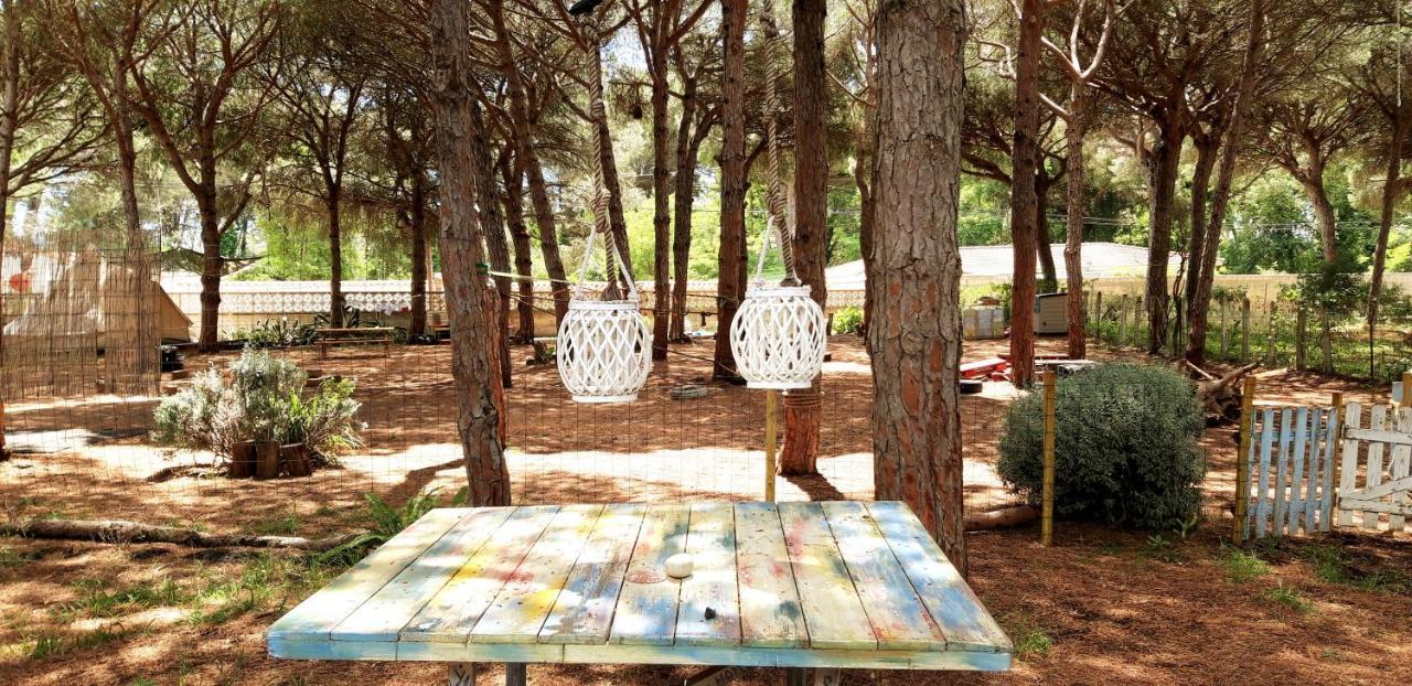 The Pineforest Cabin Chiclana de la Frontera Bagian luar foto