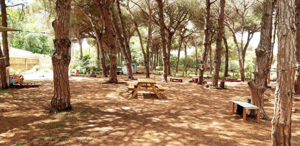 The Pineforest Cabin Chiclana de la Frontera Bagian luar foto