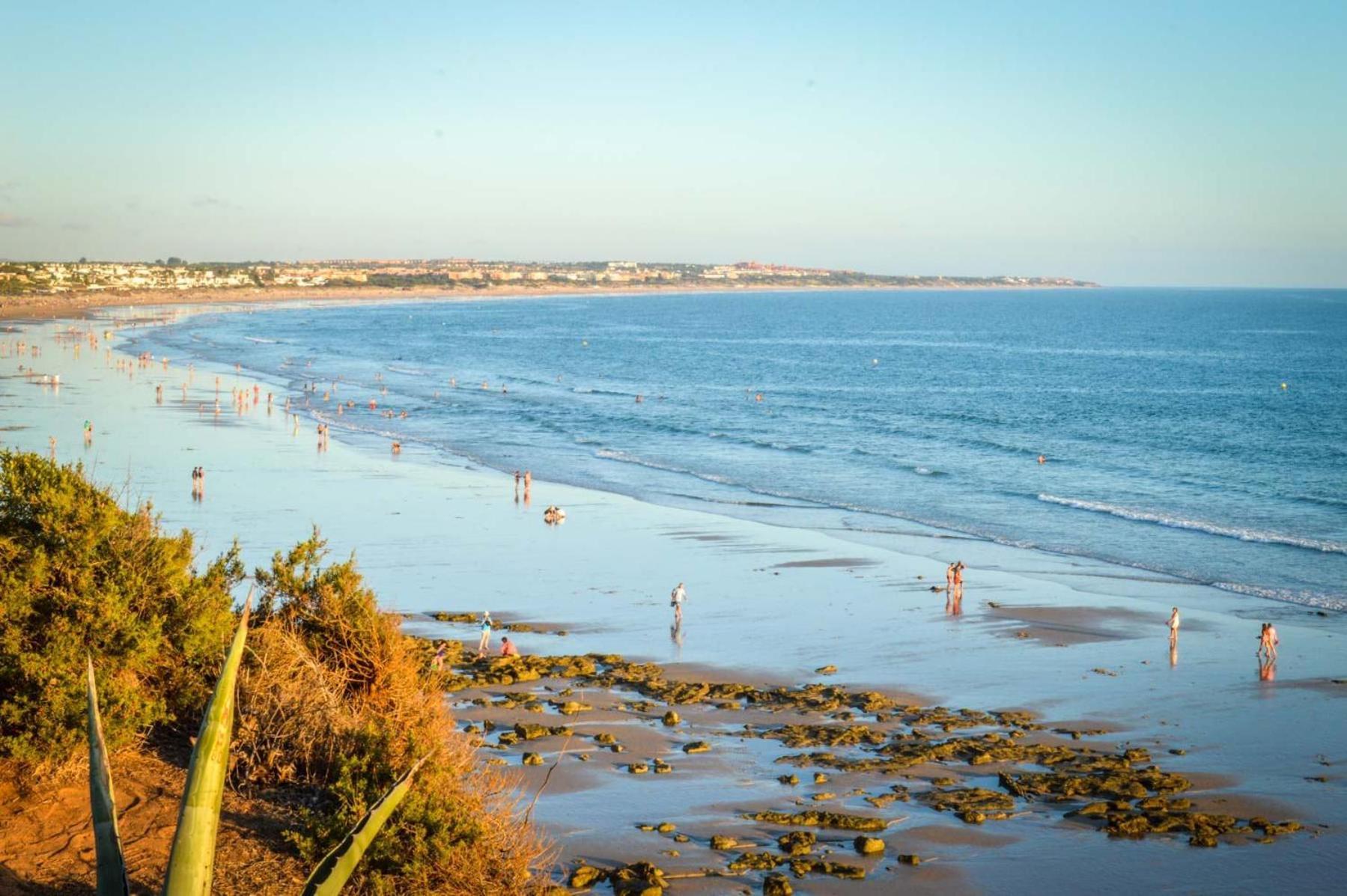 The Pineforest Cabin Chiclana de la Frontera Bagian luar foto